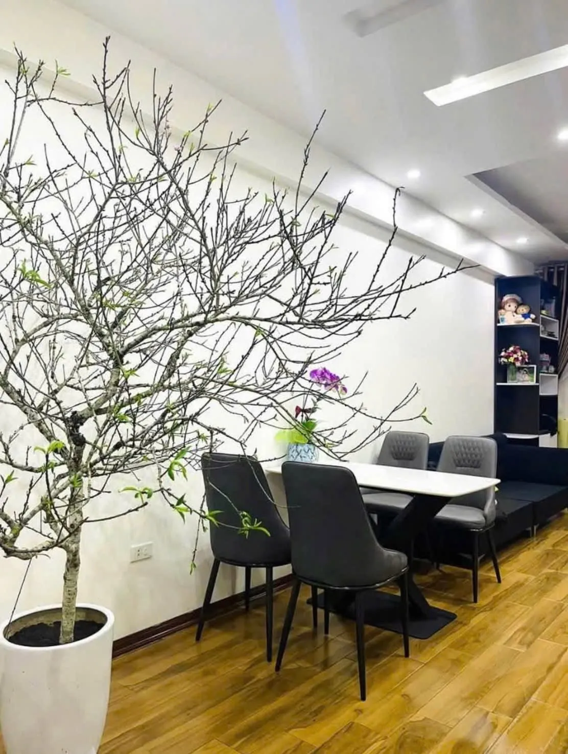 Bán căn hộ Arita Home – Phan Bội Châu, phường Vinh Hưng - Thumb 2