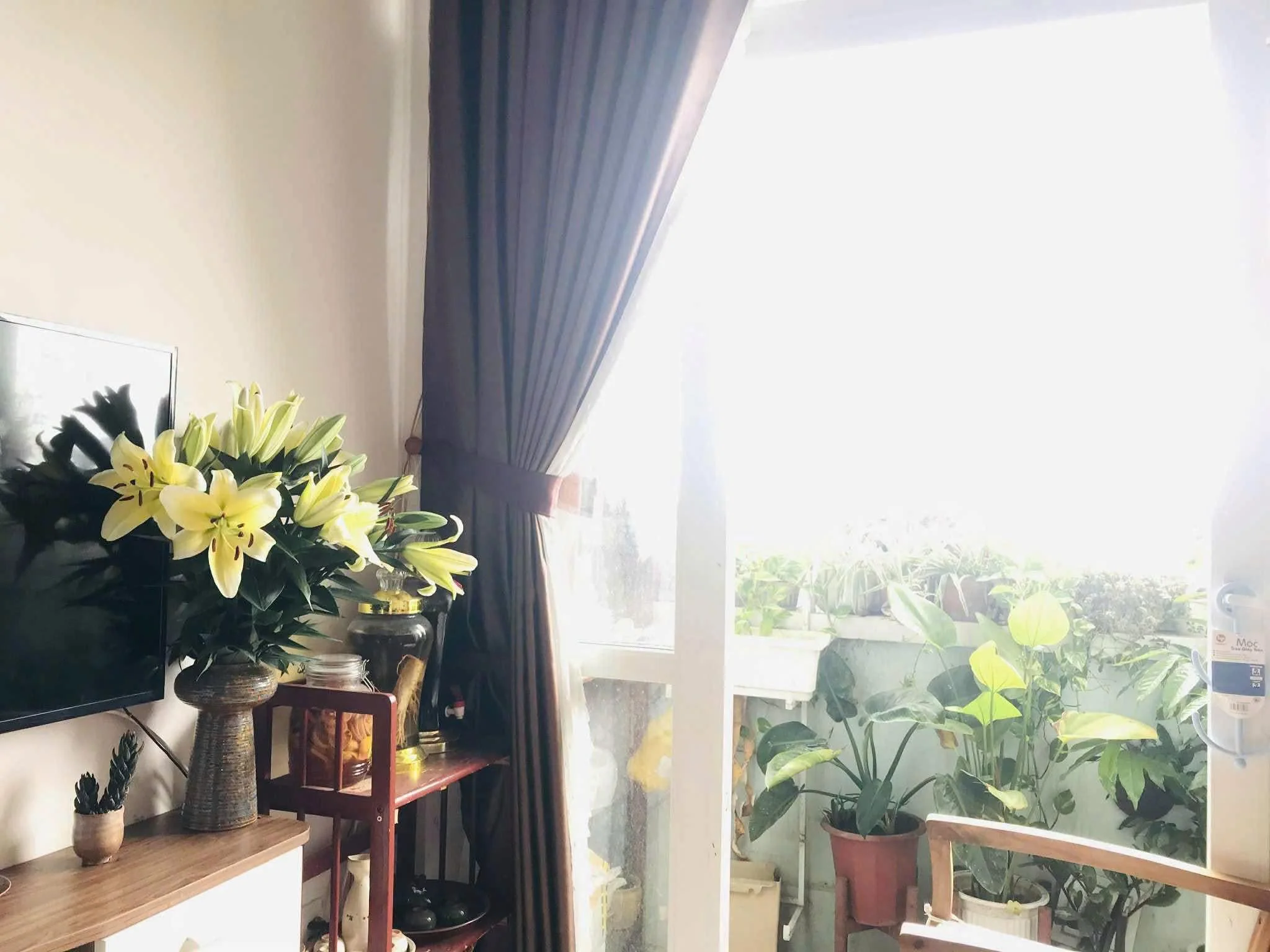 Cho thuê chung cư Cửa Tiền – Tòa A, TP Vinh - Thumb 3
