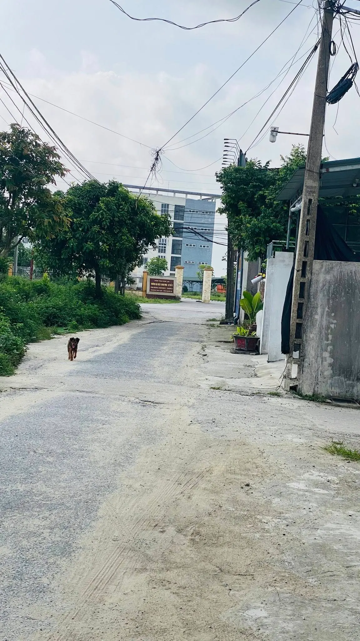 Bán nhà 2 tầng, hướng Đông Nam, phường Nghi Đức, tỉnh Nghệ An - Thumb 4