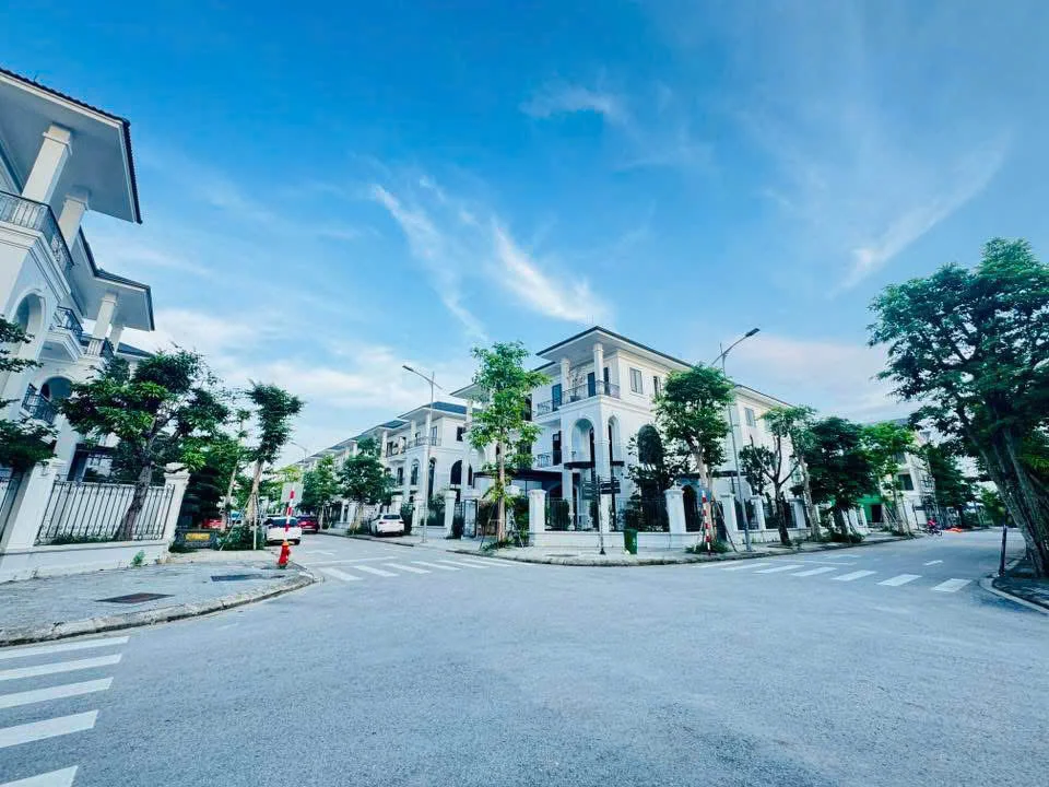 Bán biệt thự song lập góc KĐT Vinh Heritage - Thumb 4