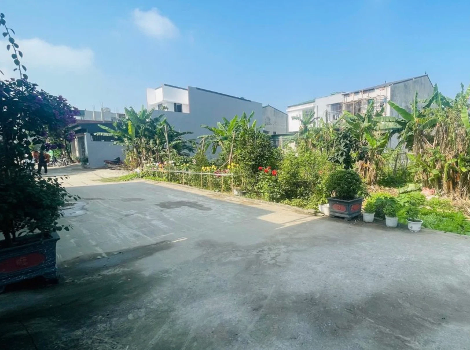 Bán đất thổ cư đẹp đường Trần Đình San – phường Trường Vinh, TP Vinh - Ảnh 1