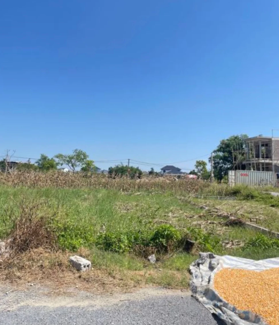 💥 Bán 100m2 đất ở phường Vinh Lộc, xóm 9 Nghi Phong cũ - Ảnh 1