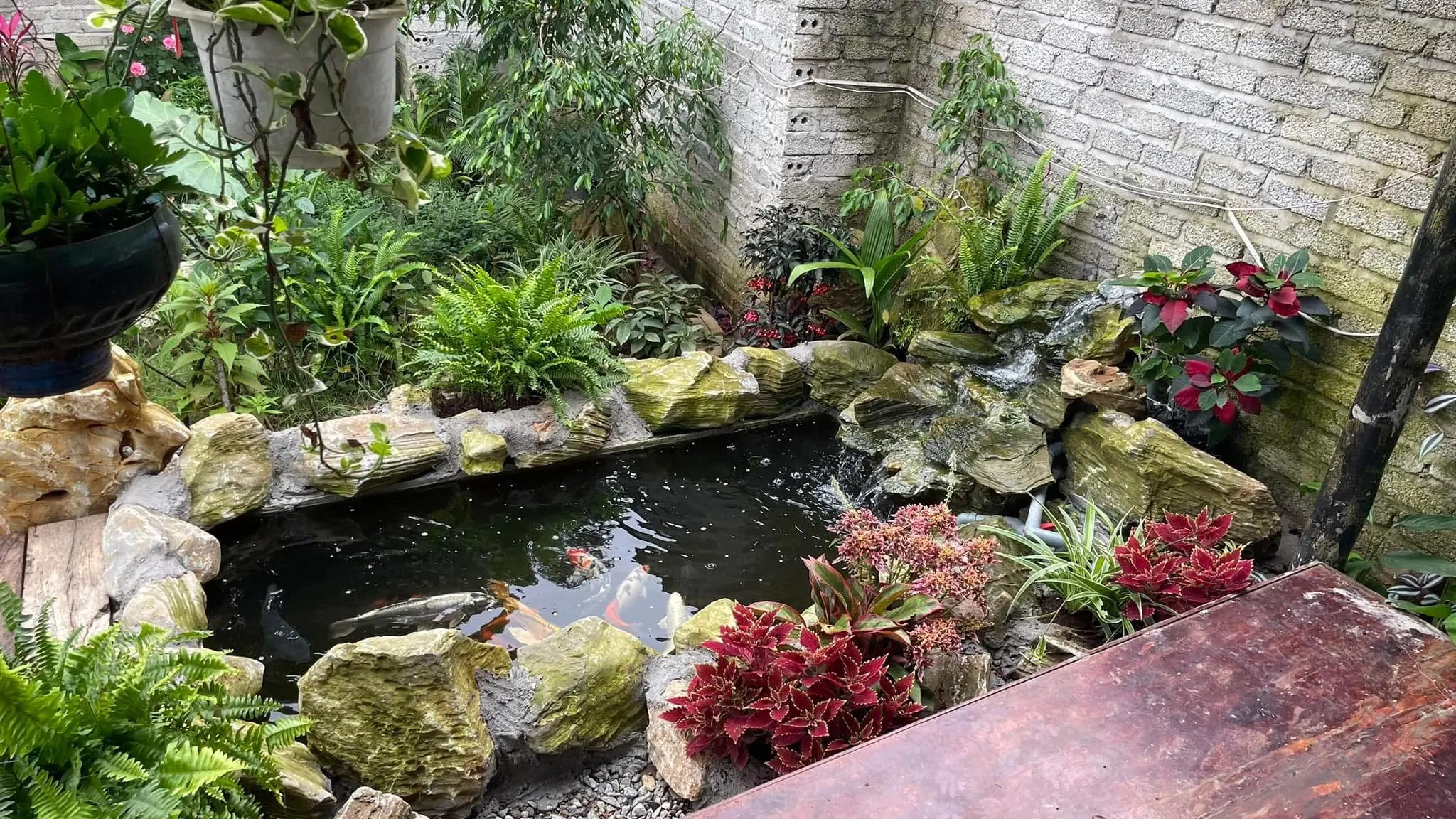 Bán nhà vườn 1.900m² view đồi đẹp tại xã Đông Hiếu (Thị xã Thái Hoà cũ), Nghệ An - Thumb 2