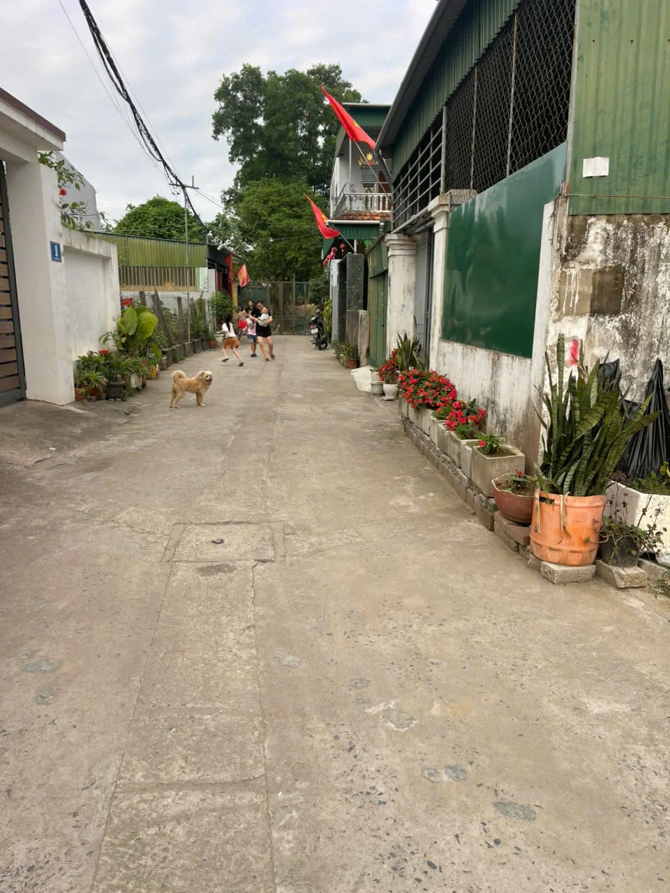 Đất đẹp Hưng Lộc - Vinh Lộ | gần Lê Quý Đôn. Diện tích: 76.2m² vuông vắn, dễ thiết kế xây dựng. - Ảnh 1